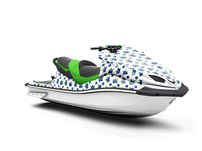 Brightwell Snack Fruit Jet Ski Vinyl Customized Wrap