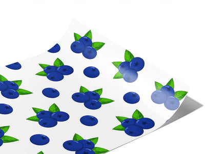 Brightwell Snack Fruit Vinyl Wraps~Rwraps Series 914 Digitally Printed Vinyl Wrap~0