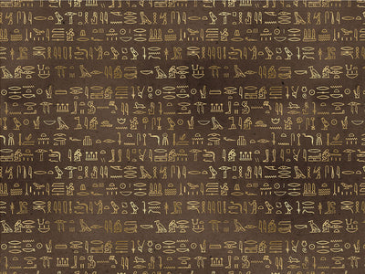Brown Hieroglyphs Egyptian Vinyl Wrap Pattern~Rwraps Series 914 Digitally Printed Vinyl Wrap~0