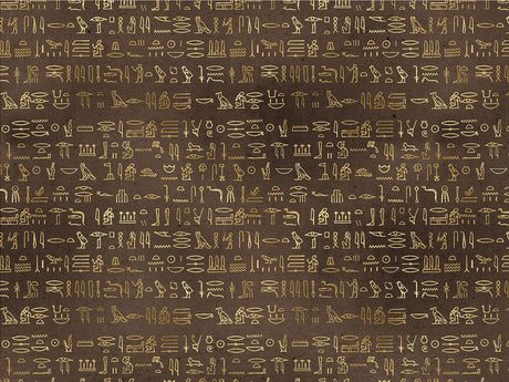 Brown Hieroglyphs Egyptian Vinyl Wrap Pattern~Rwraps Series 914 Digitally Printed Vinyl Wrap~0