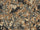 Rdash™ Dodge Stratus 2003-2005 Camo Dash Kits (Coupe)