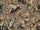 Rdash™ Honda Insight 2010-2014 Camo Dash Kits