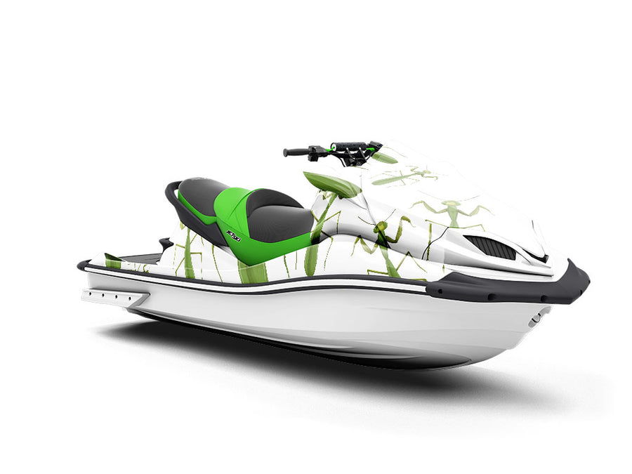 Brutal Boxers Bug Jet Ski Vinyl Customized Wrap