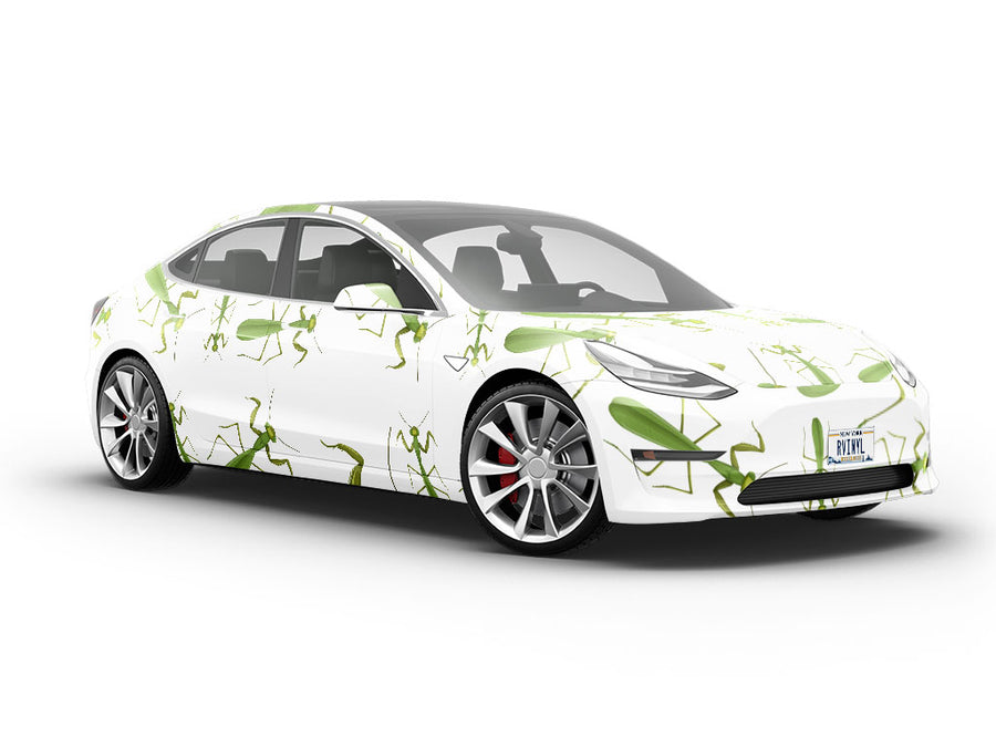 Brutal Boxers Bug Vehicle Vinyl Wrap