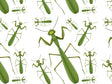 Brutal Boxers Bug Vinyl Wrap Pattern~Rwraps Series 914 Digitally Printed Vinyl Wrap~0
