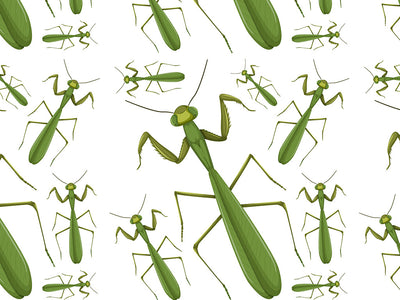 Brutal Boxers Bug Vinyl Wrap Pattern~Rwraps Series 914 Digitally Printed Vinyl Wrap~0