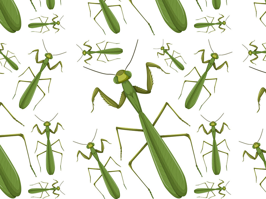 Brutal Boxers Bug Vinyl Wrap Pattern~Rwraps Series 914 Digitally Printed Vinyl Wrap~0