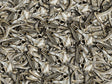 Buck Skull Camouflage Vinyl Wrap Pattern~Rwraps Series 914 Digitally Printed Vinyl Wrap~0