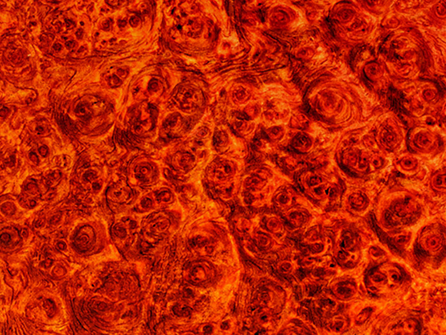 Rdash™ Isuzu Rodeo 2003-2004 Woodgrain Dash Kits