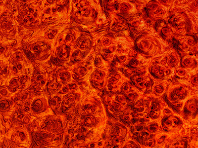 Rdash™ Saab 9-7X 2006-2009 Woodgrain Dash Kits