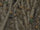 Rdash™ Dodge Ram 2019 Camo Dash Kits (Classic, Bucket Seats)