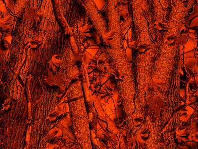 Rdash™ Dodge Caliber 2010-2012 Camo Dash Kits