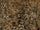 Rdash™ Toyota Camry 2012-2014 Camo Dash Kits