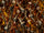 Rdash™ Kia Optima 2009-2010 Camo Dash Kits