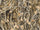 Rdash™ Ford F-150 2015-2019 Camo Dash Kits (Extended Cab / SuperCrew / XLT)