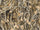 Rdash™ Honda Insight 2010-2014 Camo Dash Kits