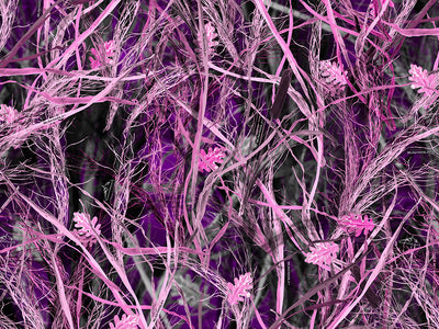 Rdash™ Nissan Altima 2002-2004 Camo Dash Kits