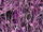 Rdash™ Buick Verano 2012-2017 Camo Dash Kits