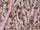 Rdash™ Nissan 300ZX 1984-1985 Camo Dash Kits