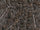 Rdash™ Audi A6 2005-2011 Camo Dash Kits