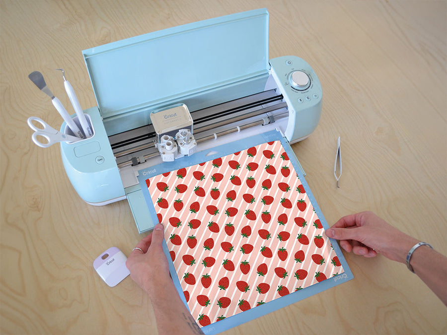 camarosa craving fruit Cricut Compatible Vinyl
