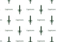 Capricorn Swords Astrology Vinyl Wrap Pattern~Rwraps Series 914 Digitally Printed Vinyl Wrap~0