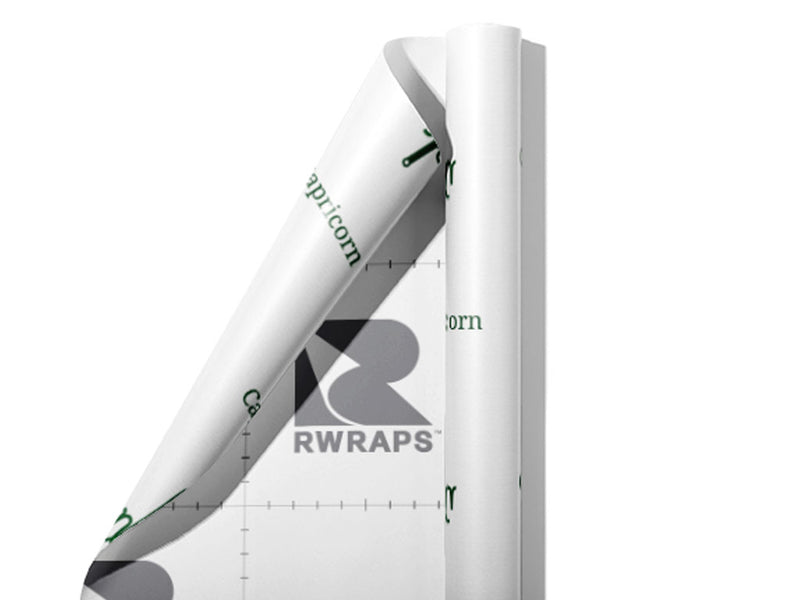 Capricorn Swords Astrology Wrap Film Sheets~Rwraps Series 914 Capricorn Swords Astrology Scrolled Sheet~3