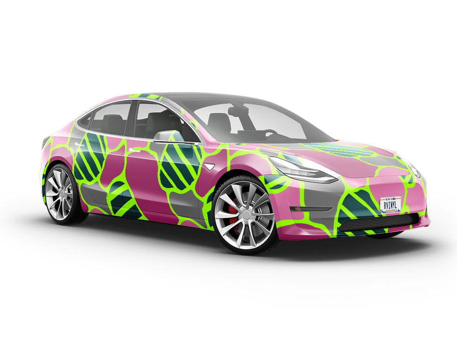 Carried Away Abstract Vehicle Vinyl Wrap