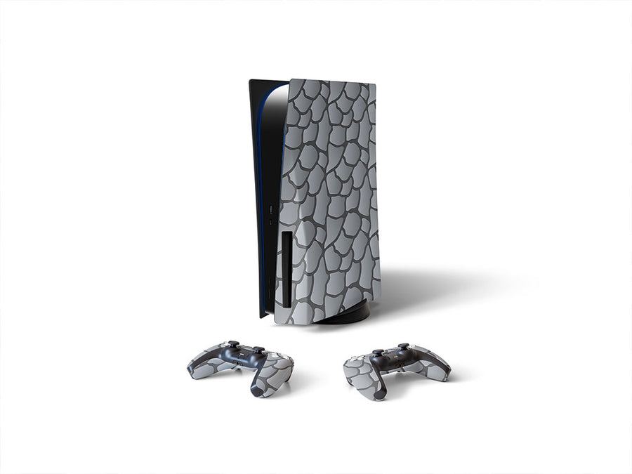 Sony PS5 DIY Skin