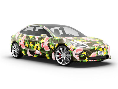 Chatty Cathy Birds Vehicle Vinyl Wrap