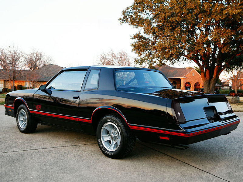 monte carlo Blackout Tail Light TInt~1~0
