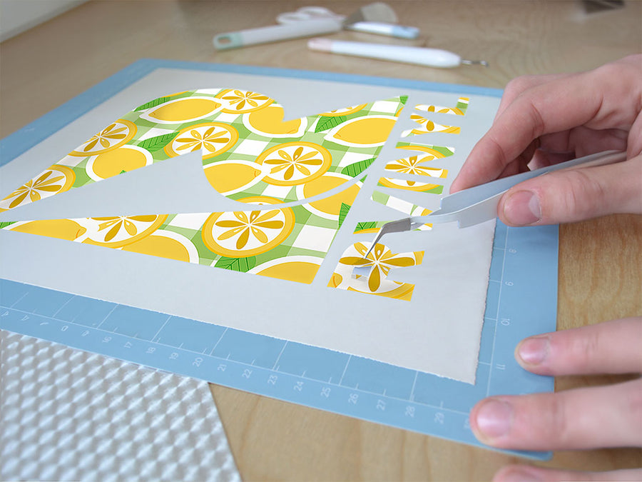 classic lemonade fruit Easy Weed Craft Vinyl