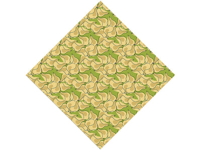 Claude Blanchet Fruit Vinyl Wrap Pattern