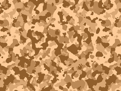 Coastal Flecktarn Camouflage Vinyl Wrap Pattern~Rwraps Series 914 Digitally Printed Vinyl Wrap~0