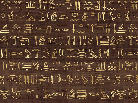 Coffee Hieroglyphs Egyptian Vinyl Wrap Pattern~Rwraps Series 914 Digitally Printed Vinyl Wrap~0
