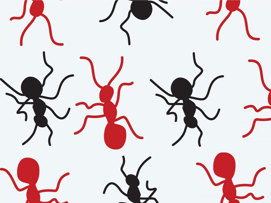 Colony Aces Bug Vinyl Wrap Pattern~Rwraps Series 914 Digitally Printed Vinyl Wrap~0