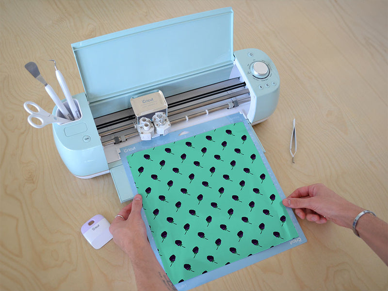 columbia star fruit Cricut Compatible Vinyl