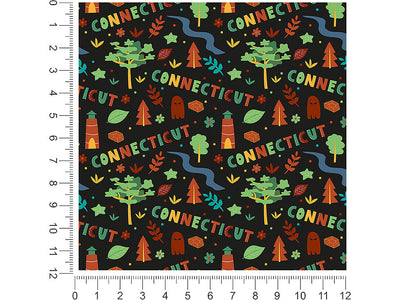 constitution state  1ft x 1ft Craft Sheets