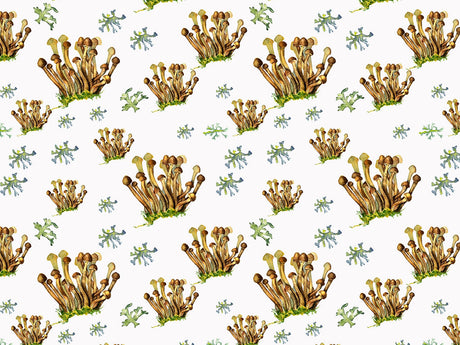 Coprinellus Micaceous Mushroom Vinyl Wrap Pattern~Rwraps Series 914 Digitally Printed Vinyl Wrap~0