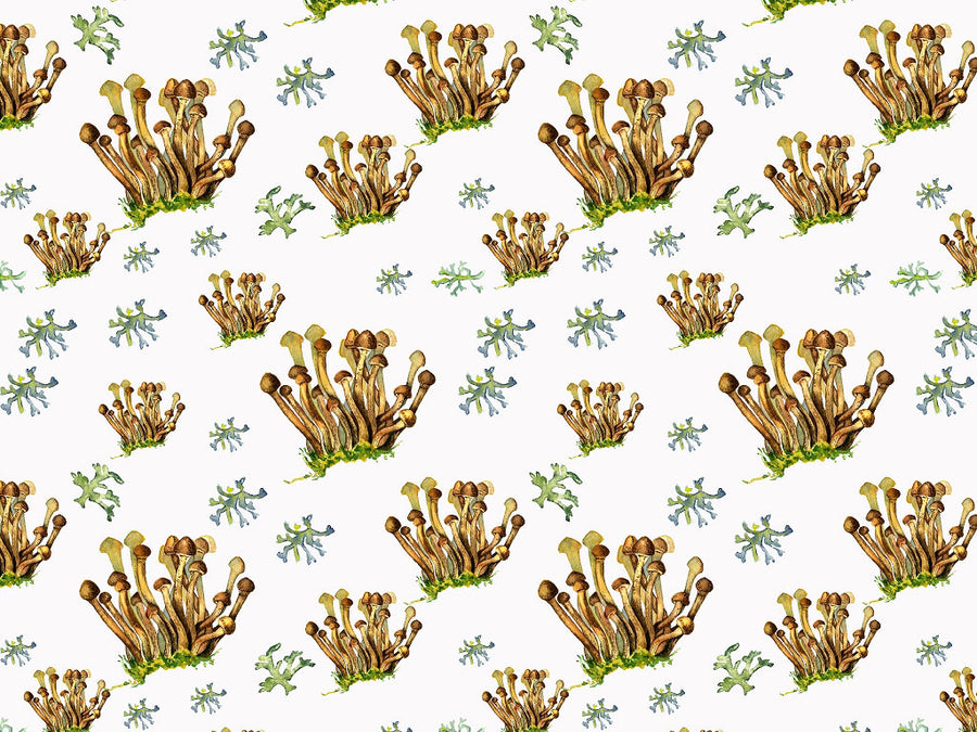 Coprinellus Micaceous Mushroom Vinyl Wrap Pattern~Rwraps Series 914 Digitally Printed Vinyl Wrap~0