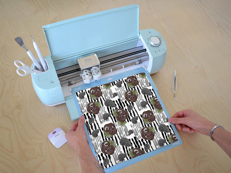 cretaceous catacomb dinosaur Cricut Compatible Vinyl
