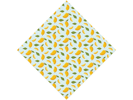 Cultivated Carrie Fruit Vinyl Wrap Pattern
