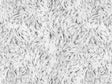 Cyber Albino Lion Vinyl Wrap Pattern~Rwraps Series 914 Digitally Printed Vinyl Wrap~0