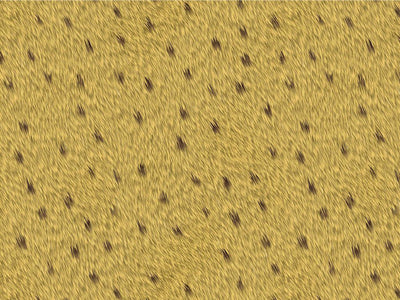 Cyber Dwarf-Cheetah Cheetah Vinyl Wrap Pattern~Rwraps Series 914 Digitally Printed Vinyl Wrap~0