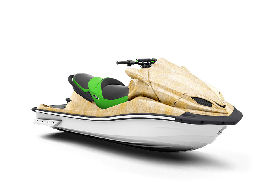 Cyber Lion Jet Ski Vinyl Customized Wrap