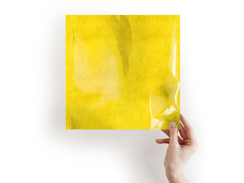 daffodil concrete stone Craft Sheets