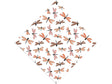 Damsel In Distress Bug Vinyl Wrap Pattern