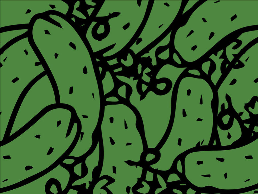 Dashing Diva Vegetable Vinyl Wrap Pattern~Rwraps Series 914 Digitally Printed Vinyl Wrap~0