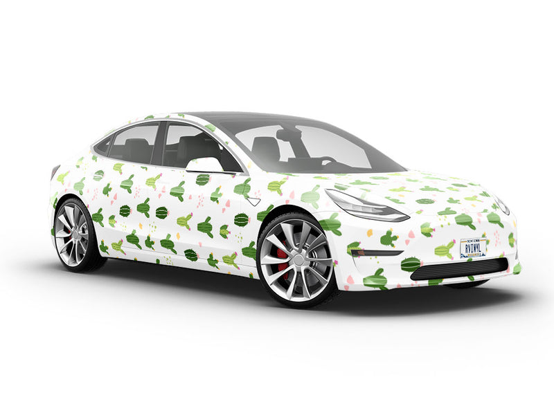 Desert Men Cacti Vehicle Vinyl Wrap