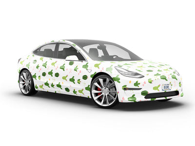 Desert Men Cacti Vehicle Vinyl Wrap